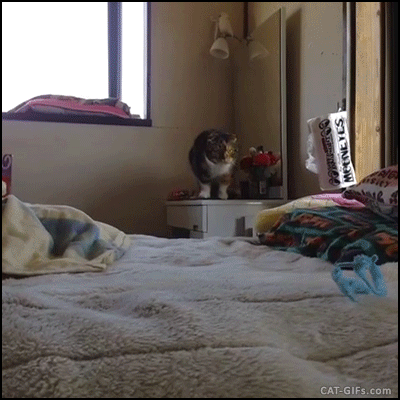 free sex doors dwarf from Titan bed missionary porn gifs
