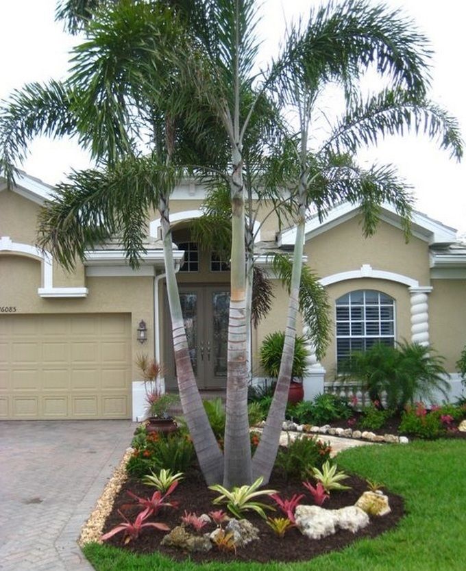 50 Florida Landscaping Ideas Front Yards Curb Appeal Palm Trees 14 Small Yard - Small Palm Tree Garden Ideas 50 Florida Landscaping Ideas Front Yards Curb Appeal Palm Trees 14 Small Yard - Small Palm Tree Garden Ideas