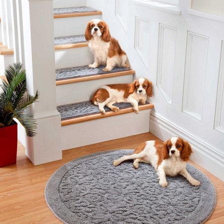 Rowan Embossed Washable Area Rugs Pinterest Rowan Embossed Washable Area Rugs