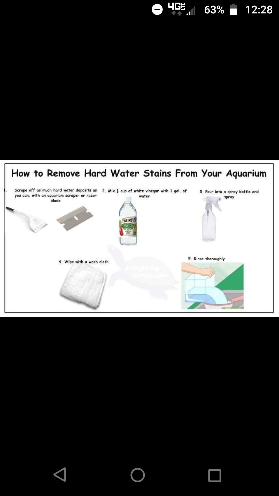 Pin by Colleen Fox on Turtle | Hard water stain remover, Washing How To Clean A Reptile Tank With Vinegar