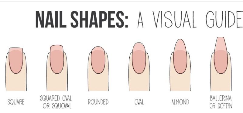 Different Types Of Nail Shapes Nail Shapes Acrylic Nail Shapes