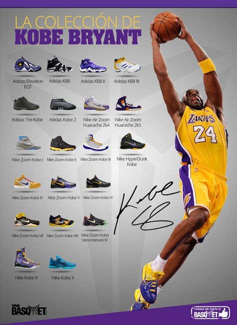 infografia kobe bryant Buscar con Google | Nikes | Kobe infografia kobe bryant Buscar con Google | Kobe, Kobe