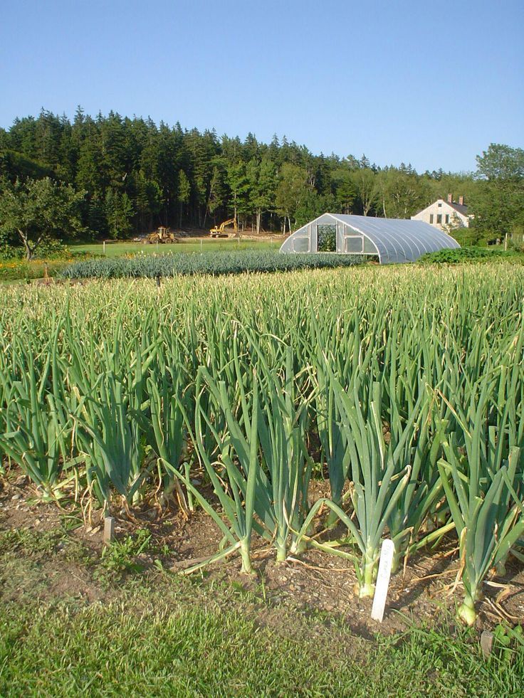 How to Practice Sustainable Agriculture: 9 Steps (with Pictures)