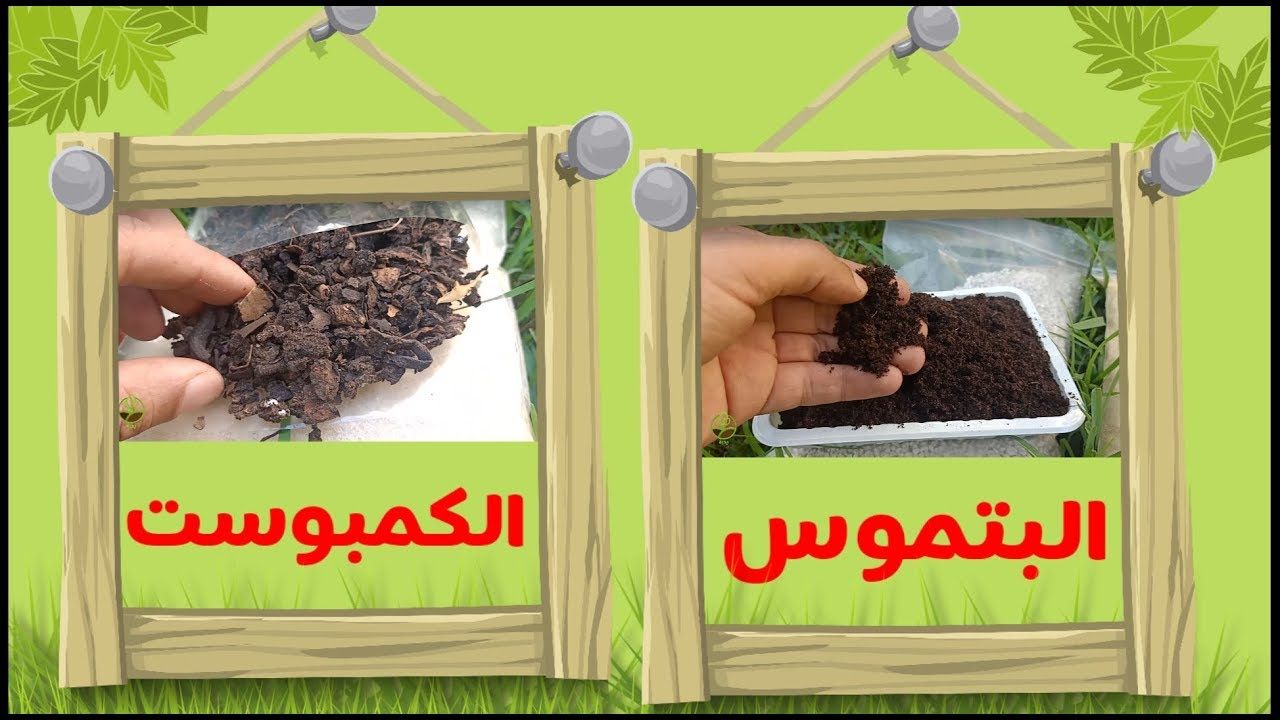 ما هو البيتموس ما هو الكمبوست و ما الفرق بينهما Https Youtu Be Deivu7deve Plants Compost Decor