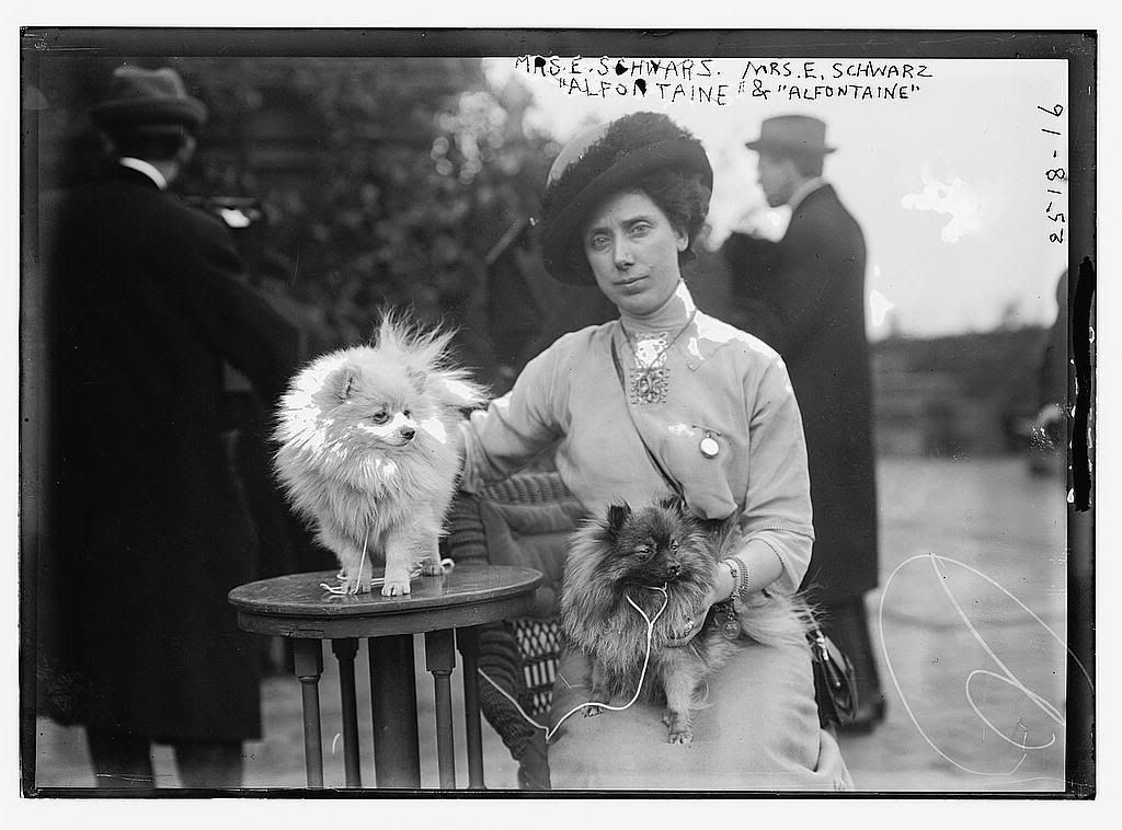 A Lady With Her Pair Of Pomeranians 1910 Pomeranian Vintage