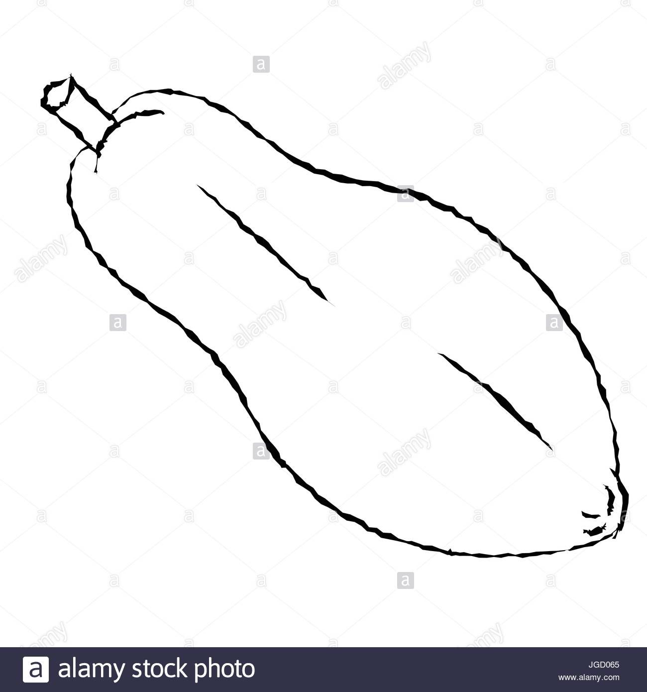 Hand Drawn Sketch Of Papaya Isolated Black And White Cartoon Vector Illustration For Coloring Book Black And White Cartoon Cartoons Vector How To Draw Hands