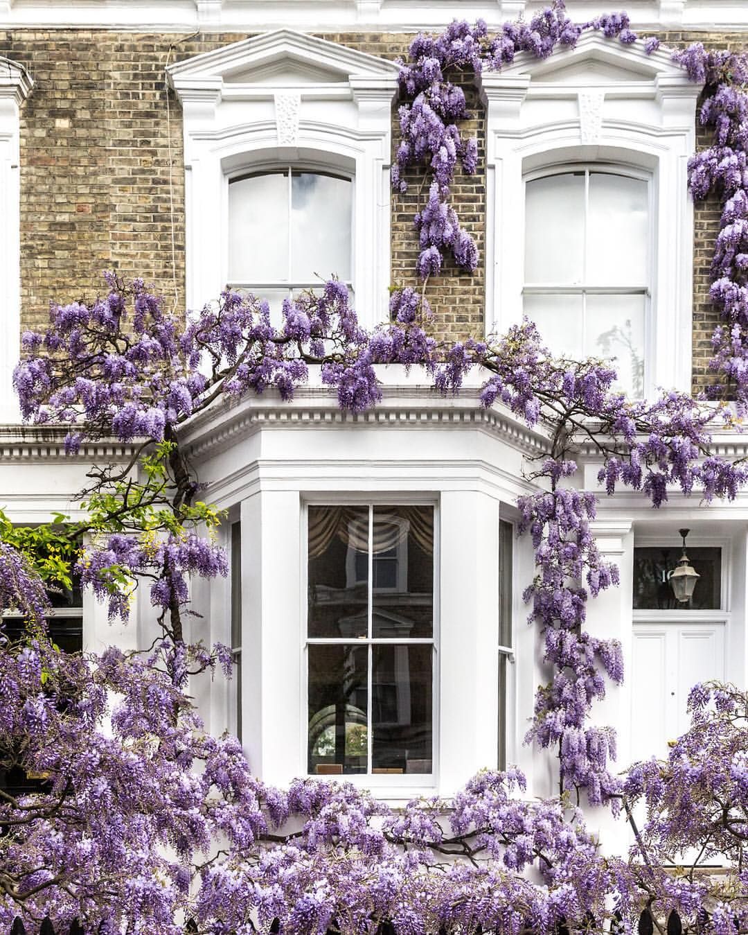 Flowery Houses Wallpaper Pin on London