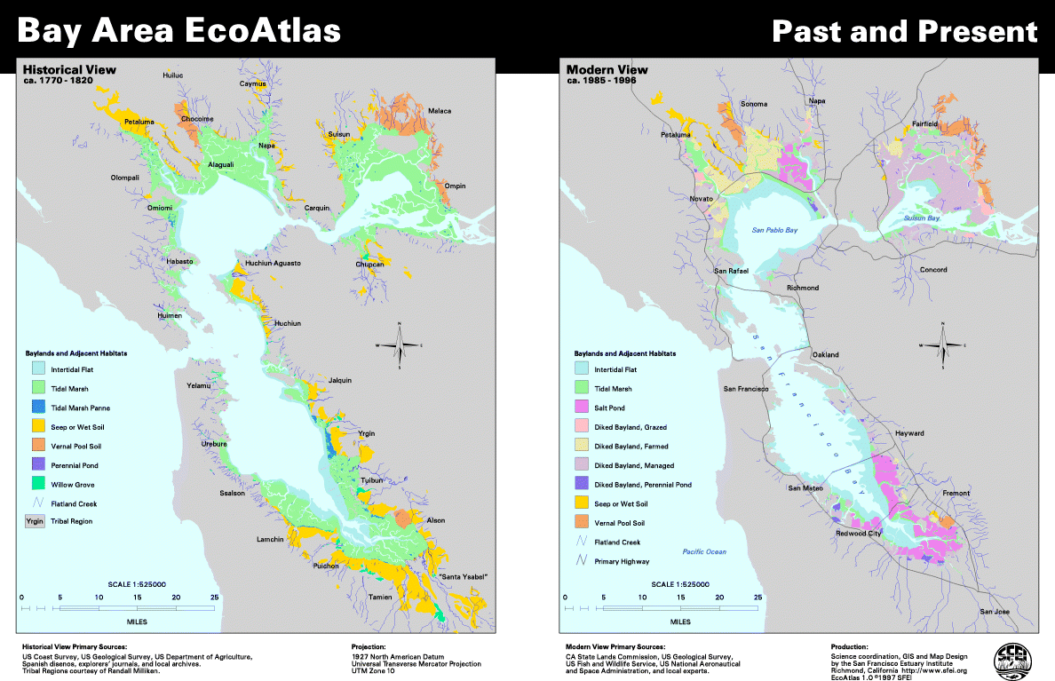 Pacific Wetland Trail Map - D069abe94e694acd55263e614d45ae1f