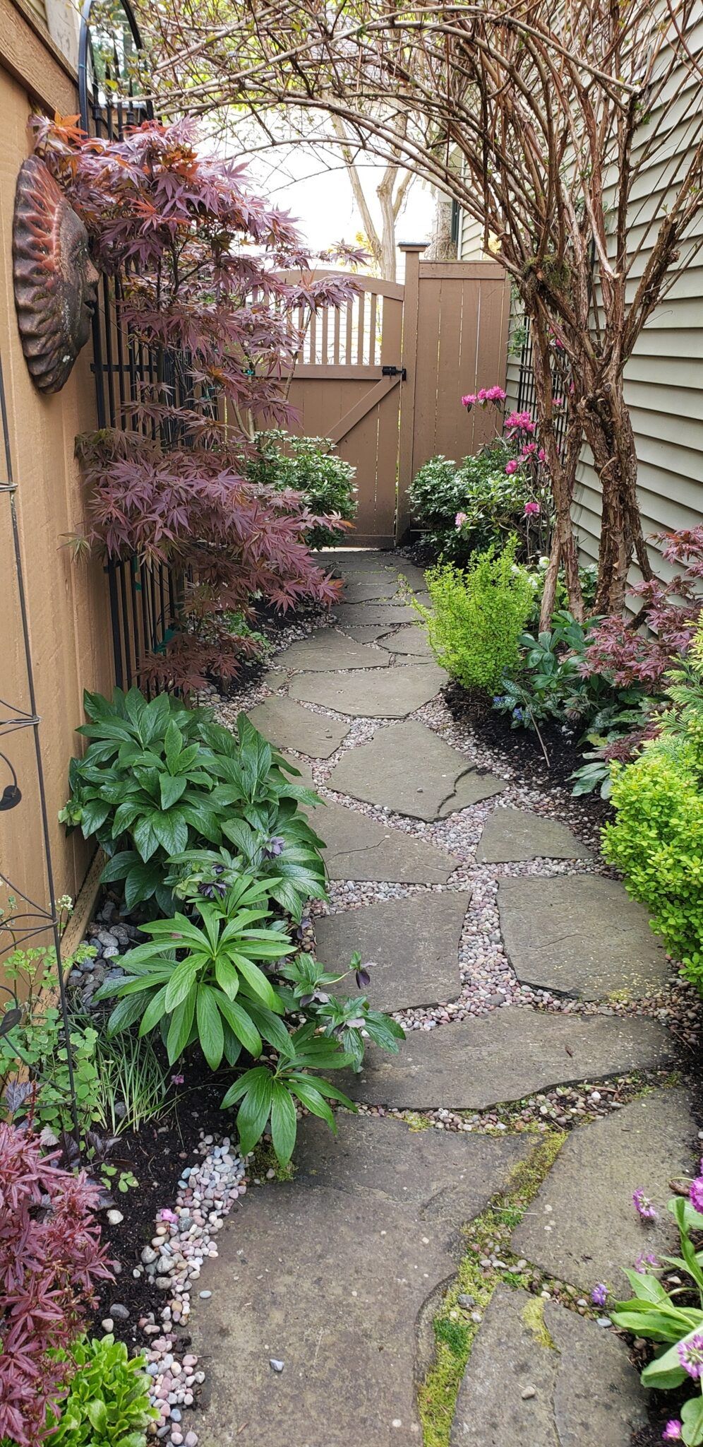 A Lot of Garden in a Small Space - FineGardening Small Backyard Gardens, Small Backyard Design, Backyard Garden Design, Small Gardens, Garden And Yard, Outdoor Gardens, Backyard Pools, Side Gardens, Garden Decor