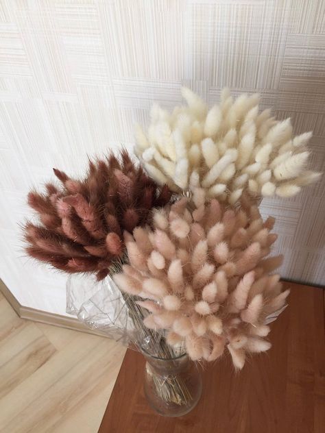 120 PCS Dried Natural Lagurus Ovatus Flower Bunche 120 PCS Dried Natural Lagurus Ovatus Flower Bunche