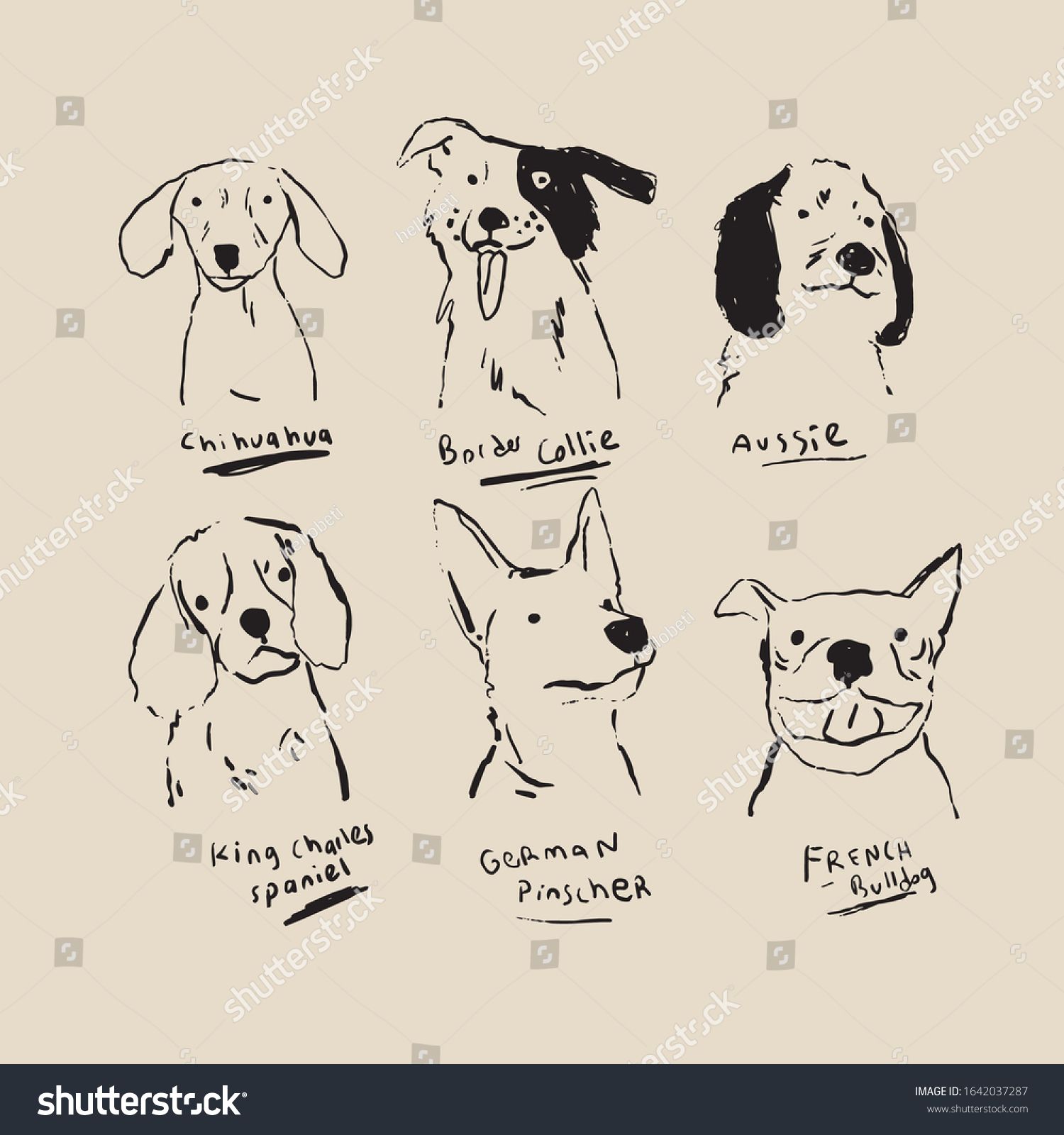 Dog Collection Illustration Sketch Set Stok Vektor Telifsiz 1642037287 Dieren Stokken