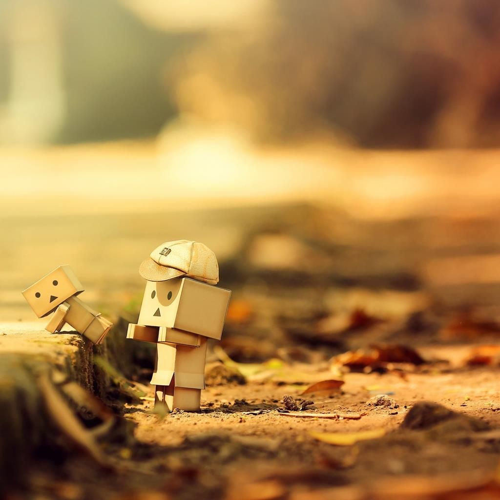 danbo helping little danbo