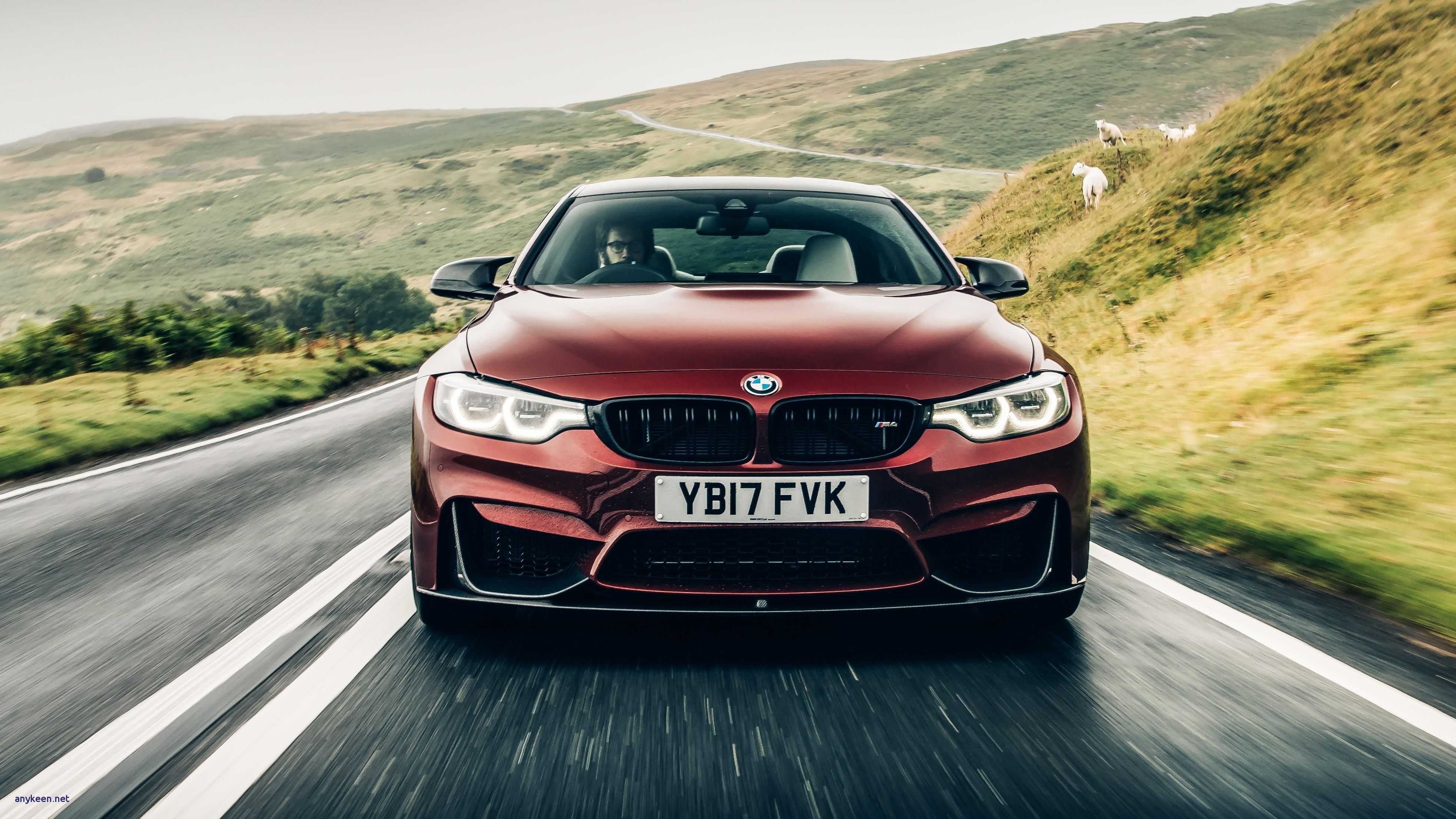 Pre Order 2020 Bmw M4 Colors Bmw M4 Bmw M4 Coupe Bmw