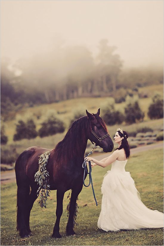 bridal portrait with a horse @weddingchicks Funny Wedding Photos, Wedding Shoot, Wedding Pictures, Horse Wedding Photos, Horse Girl Photography, Wedding Photography Poses, Photography Kit, Perfect Wedding, Dream Wedding