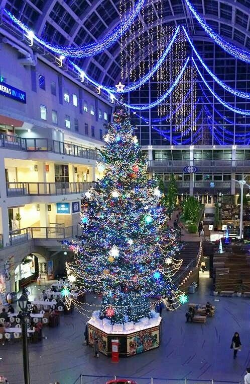 Sapporo ファクトリー15 アトリウム 景観 ファクトリー Sapporo ファクトリー15 アトリウム 景観 ファクトリー