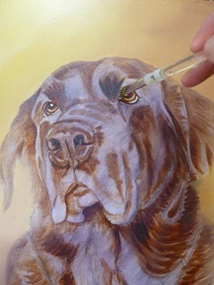 How To Paint Dog Acrylics First Colour Layers Pet Portrait Paintings how-to-paint-dog-acrylics-first-colour-layers-pet-portrait-paintings