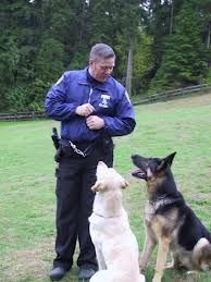 Why Positive Reinforcement Not Punishment Is Better For Dog