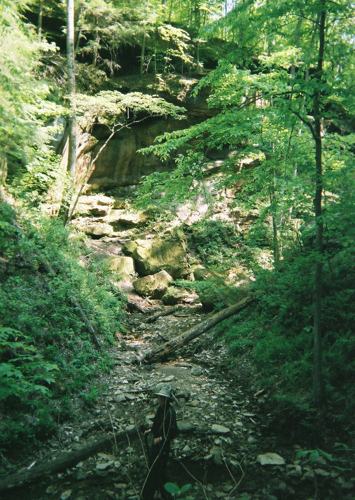 Www viper porno sexso Hiking trails french lick indiana