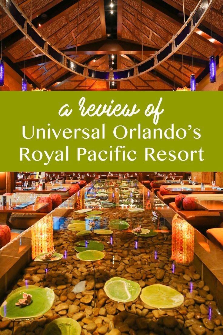 royal pet resort reviews
