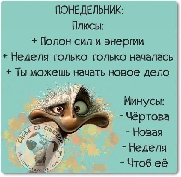 Позитивные Фото С Юмором С Надписями Прикольные Позитивные Фото С Юмором С Надписями Прикольные