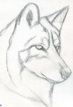 Easy Drawing Tutorial, Easy Drawing Steps, Step By Step Drawing, Step By Step Sketches, Wolf Drawing Easy, Very Easy Drawing, Easy Pencil Drawings, Art Drawings Sketches Simple, Animal Drawings