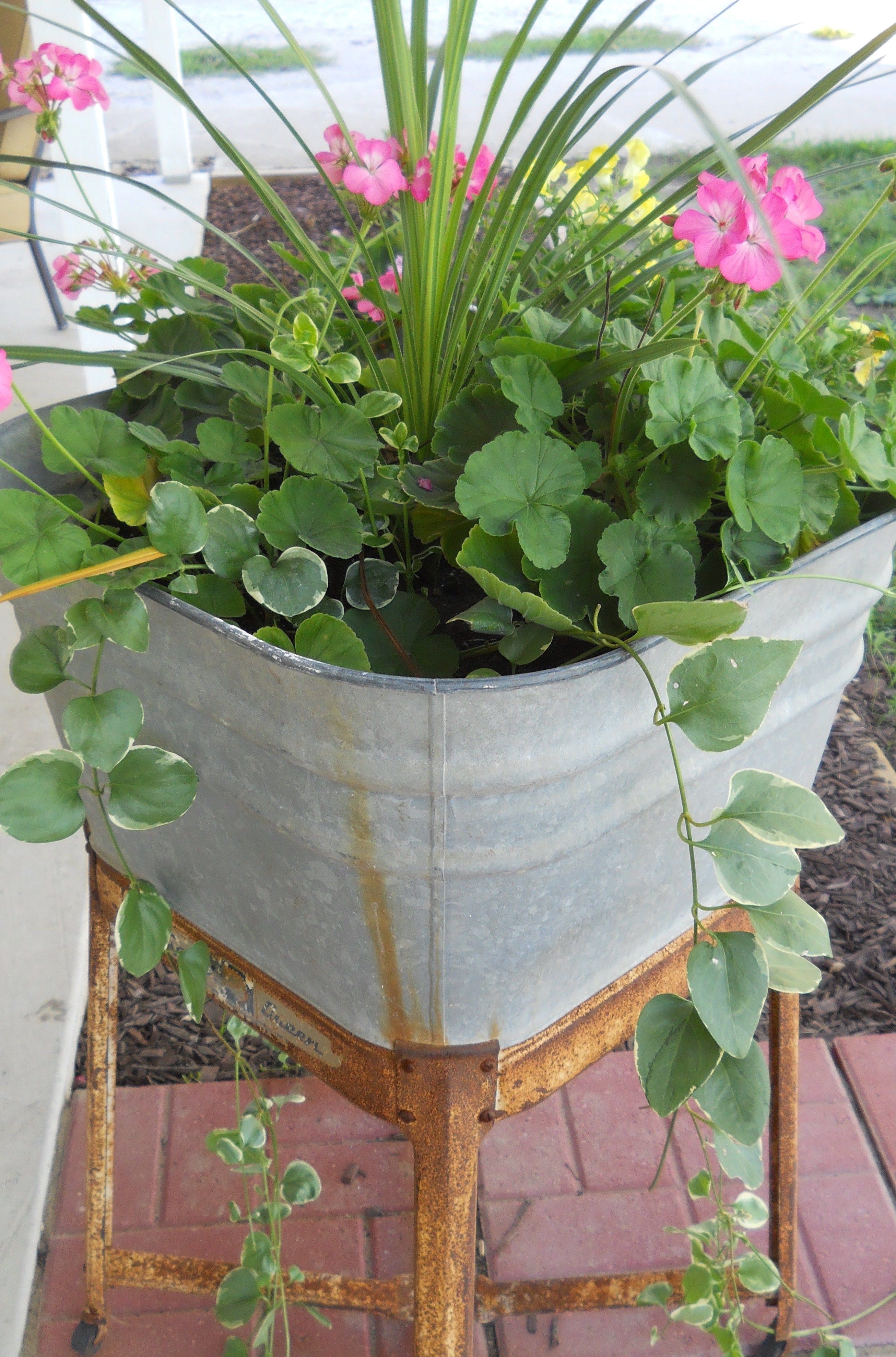 This Is How I Use Momma S Old Wash Tub Herb Garden Design This Is How I Use Momma S Old Wash Tub Herb Garden Design