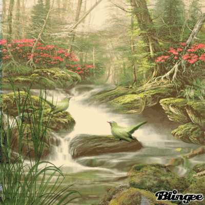 Wildbach
