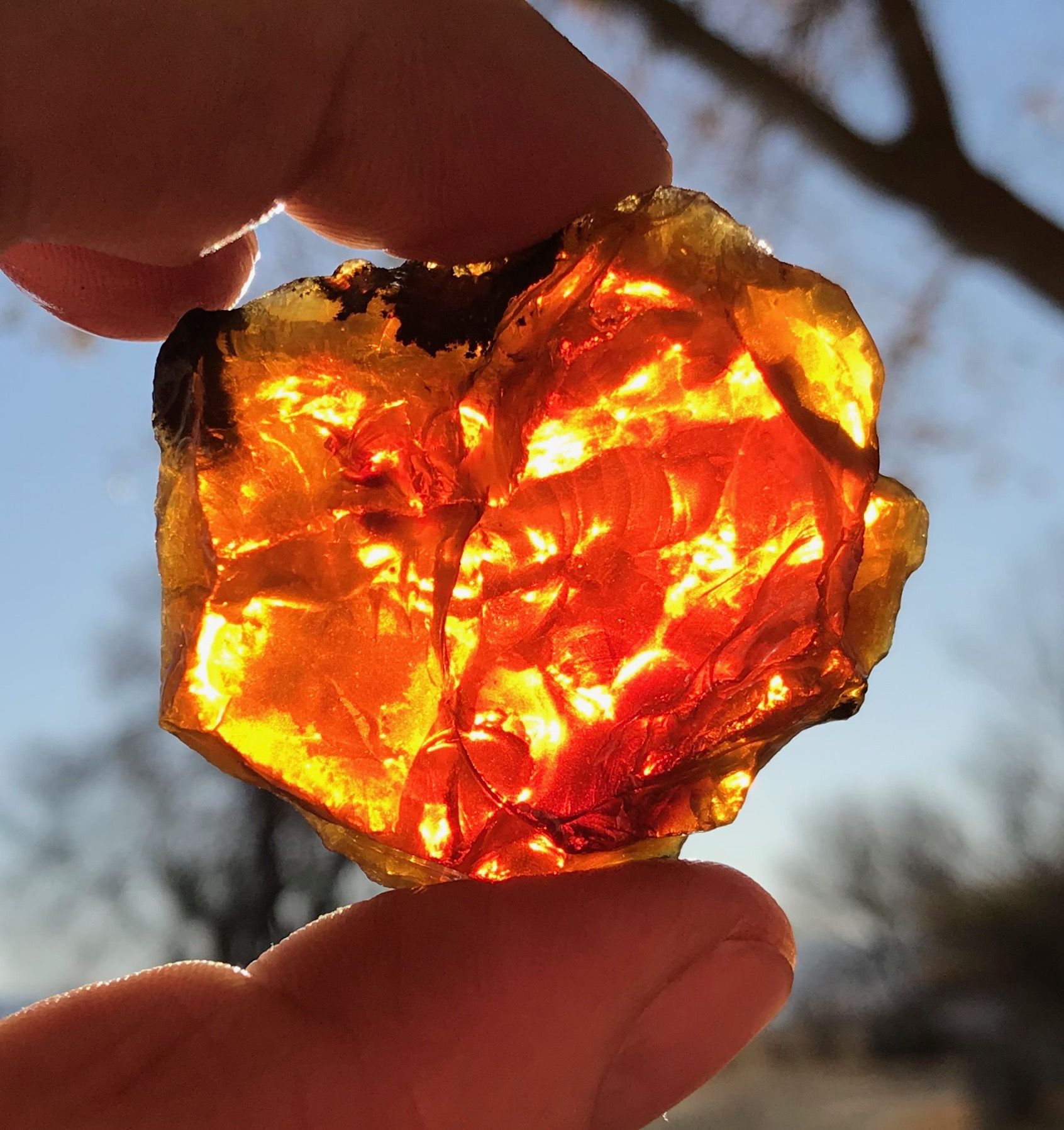 Pin on Oregon Fire & Chocolate Fire Opal