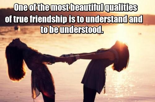 Short Essay On Albert Einstein One Of The Most Beautiful Qualities Of True Friendship Is To Understand And To Be Understood Lucius Annaeus Seneca Health Essay Sample also An Essay On Population One Of The Most Beautiful Qualities Of True Friendship Is To Why Do I Want To Be A Nurse Essay