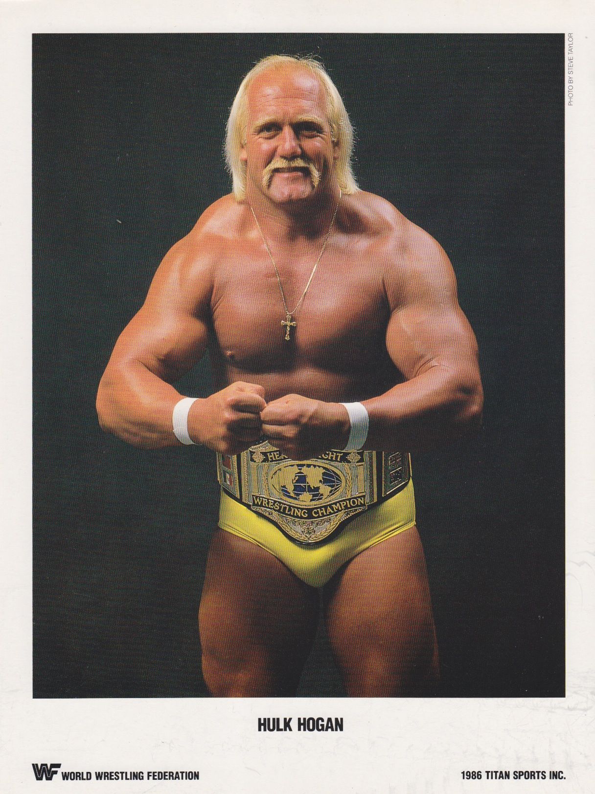 HulkaMania! | Wrestling stars, Wrestling superstars, Professional wrestling