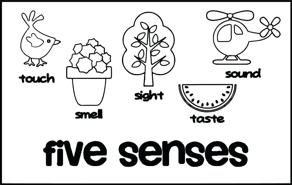 Inspirational Sense Of Taste Coloring Sheet - Oracoloring Inspirational Sense Of Taste Coloring Sheet - Oracoloring