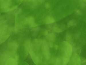 leaves powerpoint