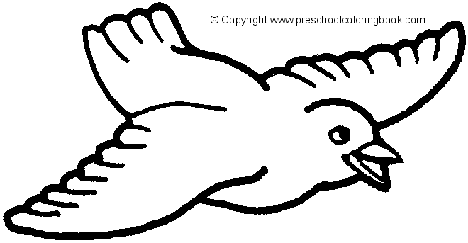 9100 Bird Outline Coloring Pages For Free 9100 Bird Outline Coloring Pages For Free