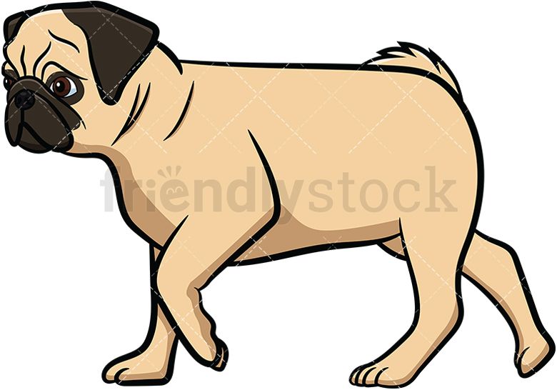Pug Walking Walking Cartoon Pugs Dog Walking