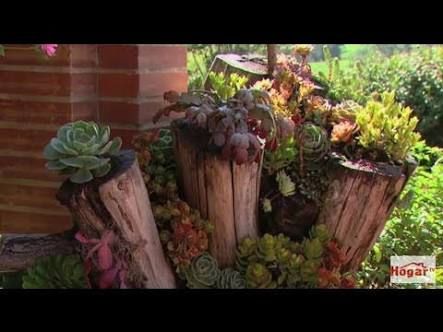 Resultado de imagen para jardines pequeños con piedras y troncos - jardines pequeos con piedras y troncos Resultado de imagen para jardines pequeños con piedras y troncos - jardines pequeos con piedras y troncos