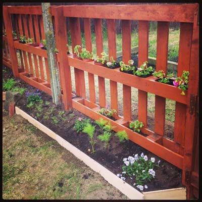 photo Pallet Fence Pictures how to build a pallet fence for almost 0 and 6 pallet fence plan ideas pallets garden pallet garden fence planning