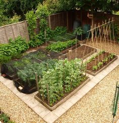 vegetable Garden layout - for small spaces | Gardening ideas ... vegetable Garden layout - for small spaces | Gardening ideas ...