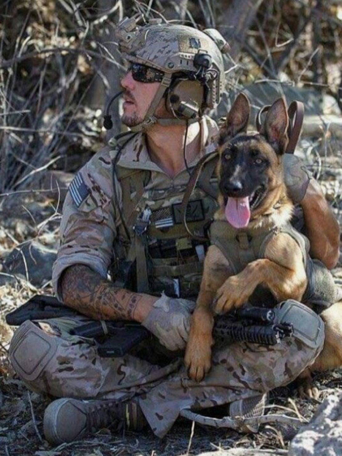 10Military Dogs Army dogs, Military dogs, Military working dogs 10Military Dogs Army dogs, Military dogs, Military working dogs