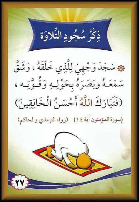 Desertrose اللذ ة الحقيقية التي بوسعك أن تحصل عليها هي سجدة لله بدون موعد أو مناسبة لا تحمل أفكارا أ خرى سوى ال Islam Facts Learn Islam Islamic Phrases