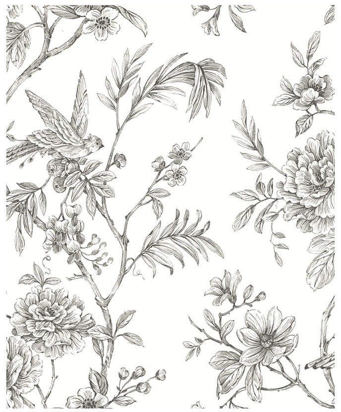 Floral Bird Trail Wallpaper Black White And Grey Brewster Home Fashions Jessamine Floral Trail Wallpaper - 396