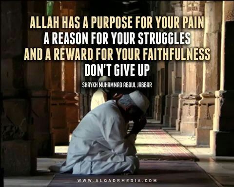 Never give up!! Don't Give Up, Never Give Up, Quran Quotes, Islamic