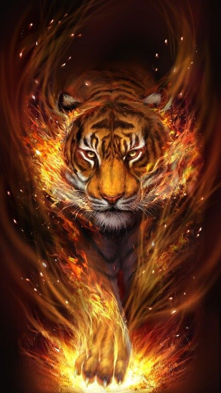 Tigre De Feu Lion Live Wallpaper, Wild Animal Wallpaper, Tiger Wallpaper, Art Wallpaper, Tiger Images, Tiger Pictures, Lion Images, Cats Art Drawing, Cat Art