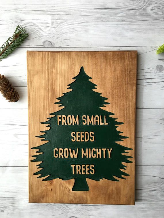From Small Seeds Grow Mighty Trees Wood Sign Woodland Nursery Decor Rustic Nursery Sign Teachers Gift Rustic Nursery Signs Nursery Signs Rustic Nursery