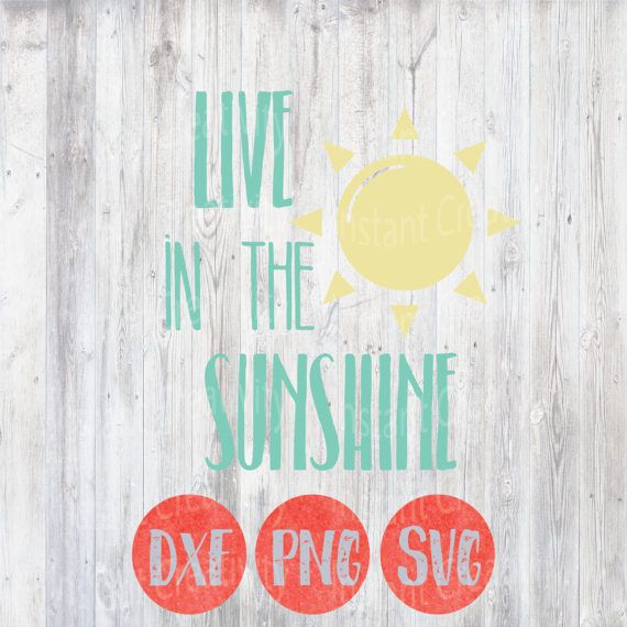 Download Live in the Sunshine, Summertime, Summer Svg File, Spring ...