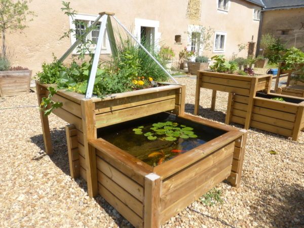 bassin potager selon le principe de l'aquaponie