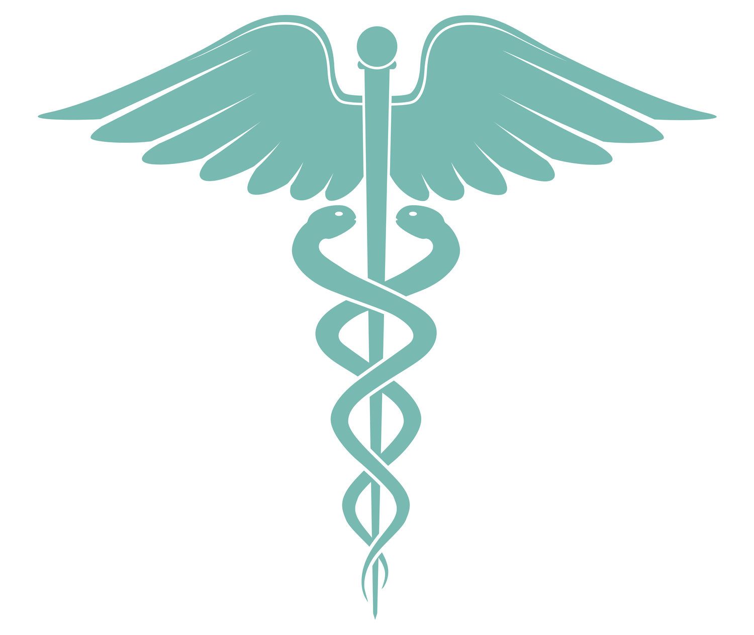 2 Rattle Snakes Medical Symbols Hospital Logo Ancient Writing 2-rattle-snakes-medical-symbols-hospital-logo-ancient-writing