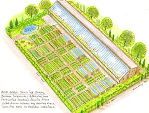 Grow enough food to feed your family on one acre The Farm, Mini Farm, Small Farm, Homestead Layout, Homestead Farm, Food Garden, Vegetable Garden, Diy Garden, Farm Layout