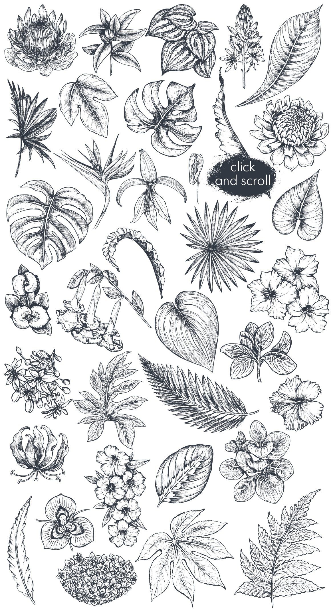Tropical collection , #SPONSORED, #isolated#plants#background#palm #Ad Bild Tattoos, Cute Tattoos, Leg Tattoos, Body Art Tattoos, Small Tattoos, Sleeve Tattoos, Hand Palm Tattoos, Tatoos, Arrow Tattoos