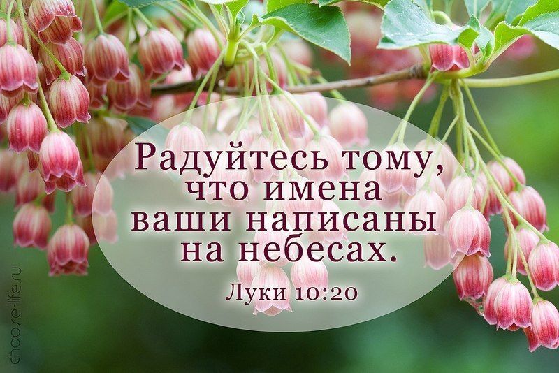 Открытки с библейскими надписями, открыткой днем