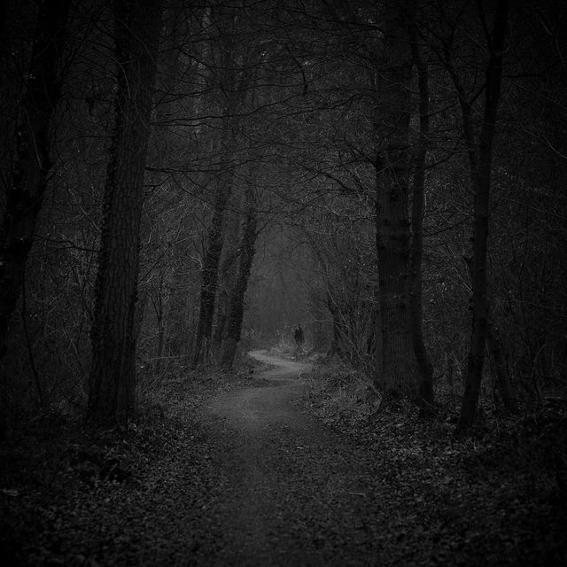 Hidden | Dark landscape, Dark forest, Dark photography